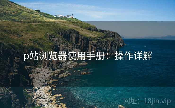p站浏览器使用手册：操作详解