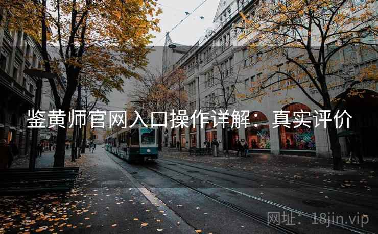鉴黄师官网入口操作详解：真实评价