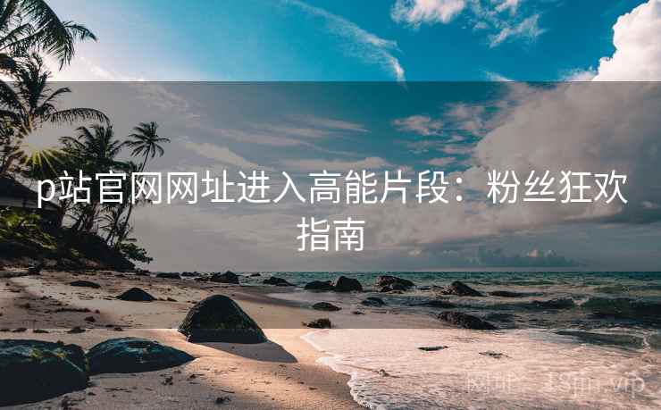 p站官网网址进入高能片段：粉丝狂欢指南